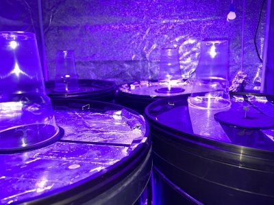 IMG_1620.JPG IMG_1620.JPG