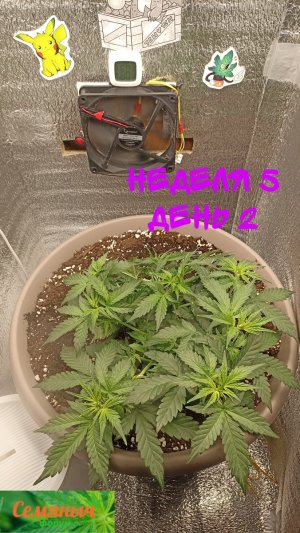 Picsart_23-09-05_19-52-01-321.jpg Picsart_23-09-05_19-52-01-321.jpg