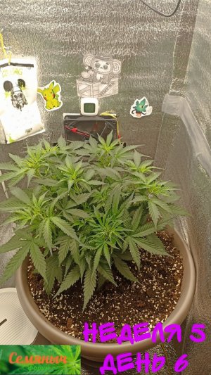 Picsart_23-09-09_07-16-57-940.jpg Picsart_23-09-09_07-16-57-940.jpg