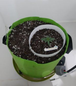 20230910_125534.jpg 20230910_125534.jpg