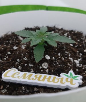 20230910_125551.jpg 20230910_125551.jpg