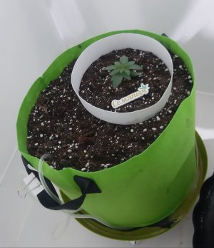 20230910_130831.jpg 20230910_130831.jpg