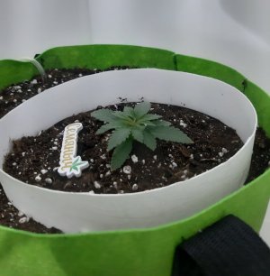 20230910_130808.jpg 20230910_130808.jpg