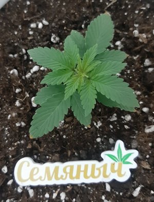 20230910_130753.jpg 20230910_130753.jpg