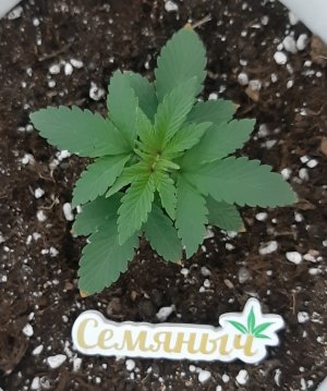 20230603_170409.jpg 20230603_170409.jpg