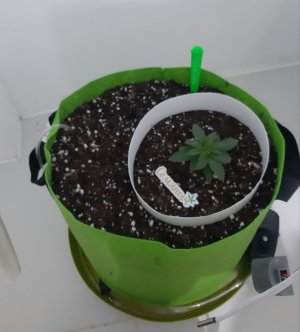 20230910_130940.jpg 20230910_130940.jpg