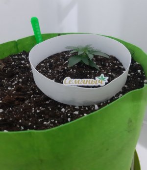 20230910_130919.jpg 20230910_130919.jpg