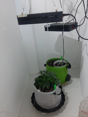 20230910_130957.jpg 20230910_130957.jpg