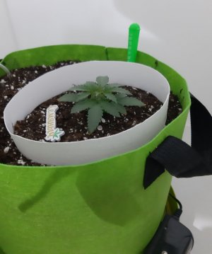 20230910_132221.jpg 20230910_132221.jpg