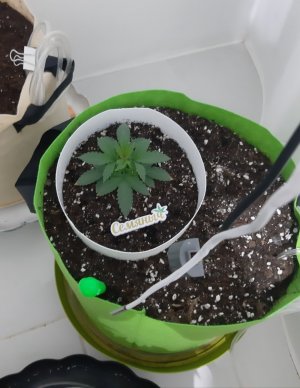 20230911_210355.jpg 20230911_210355.jpg