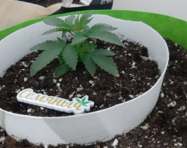 20230911_210433.jpg 20230911_210433.jpg