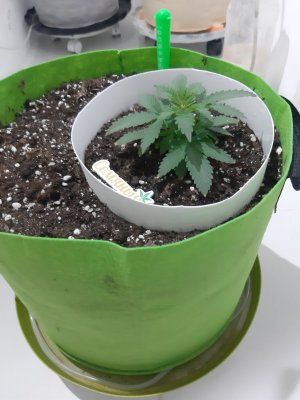 20230911_211112.jpg 20230911_211112.jpg