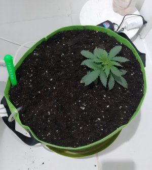 20230911_211010.jpg 20230911_211010.jpg