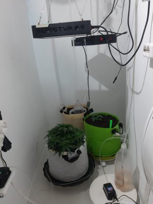 20230911_210948.jpg 20230911_210948.jpg