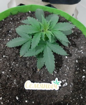 20230911_212043.jpg 20230911_212043.jpg