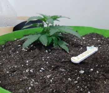 20230911_211942.jpg 20230911_211942.jpg