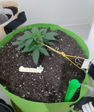 20230911_213059.jpg 20230911_213059.jpg