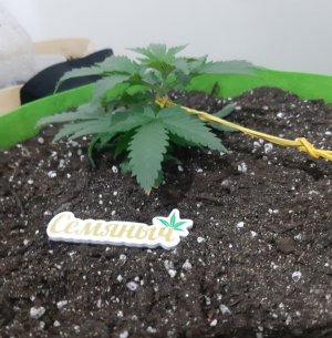 20230911_213044.jpg 20230911_213044.jpg