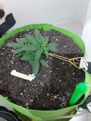 20230911_213023.jpg 20230911_213023.jpg