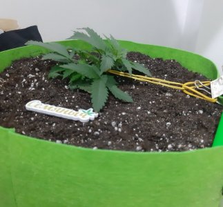 20230911_212951.jpg 20230911_212951.jpg