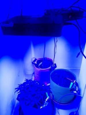 20230911_212930.jpg 20230911_212930.jpg