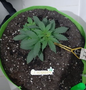 20230911_214234.jpg 20230911_214234.jpg