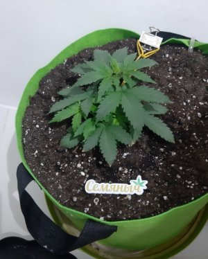 20230911_214127.jpg 20230911_214127.jpg