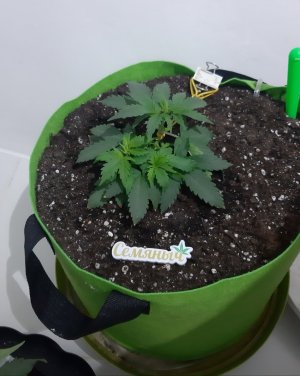 20230911_214106.jpg 20230911_214106.jpg