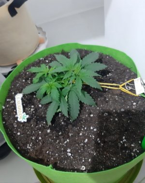 20230911_214026.jpg 20230911_214026.jpg