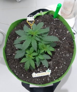 20230912_200323.jpg 20230912_200323.jpg