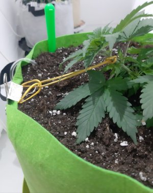 20230912_200207.jpg 20230912_200207.jpg