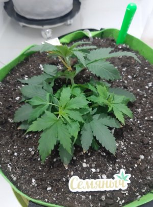 20230912_200147.jpg 20230912_200147.jpg