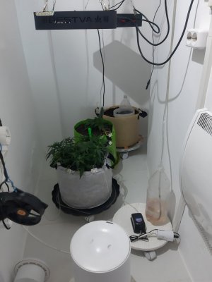 20230912_200124.jpg 20230912_200124.jpg