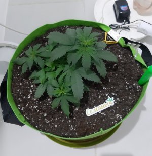 20230912_213913.jpg 20230912_213913.jpg