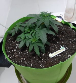 20230912_213853.jpg 20230912_213853.jpg