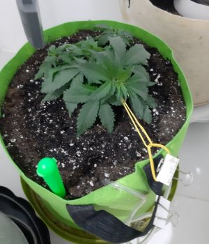 20230912_213226.jpg 20230912_213226.jpg