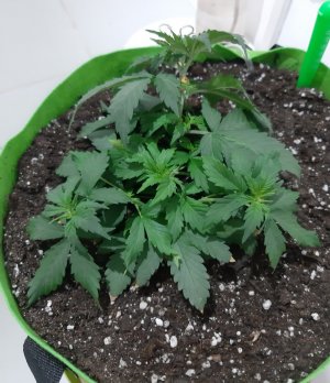 20230912_213319.jpg 20230912_213319.jpg