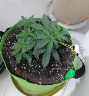 20230912_215658.jpg 20230912_215658.jpg