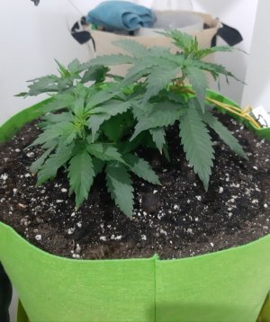 20230912_215625.jpg 20230912_215625.jpg