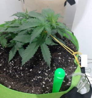 20230912_215606.jpg 20230912_215606.jpg