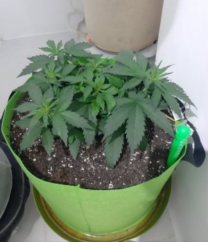 20230913_195154.jpg 20230913_195154.jpg