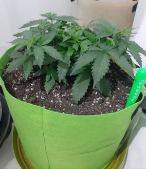 20230913_195134.jpg 20230913_195134.jpg