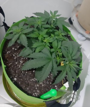 20230913_195035.jpg 20230913_195035.jpg