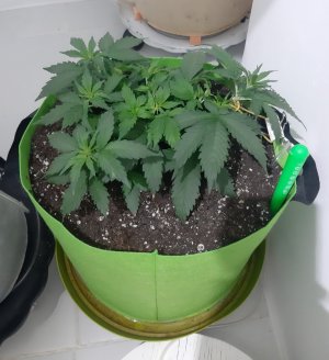 20230913_195015.jpg 20230913_195015.jpg