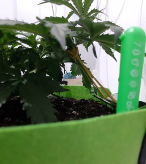 20230913_200757.jpg 20230913_200757.jpg