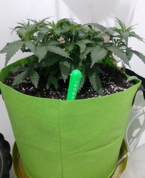 20230913_202727.jpg 20230913_202727.jpg