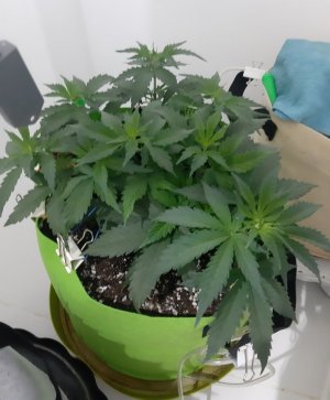 20230913_203458.jpg 20230913_203458.jpg