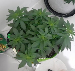 20230914_193317.jpg 20230914_193317.jpg