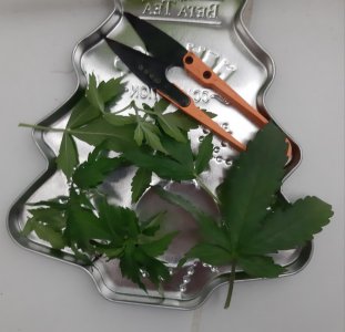 20230914_193249.jpg 20230914_193249.jpg