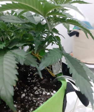 20230914_193159.jpg 20230914_193159.jpg